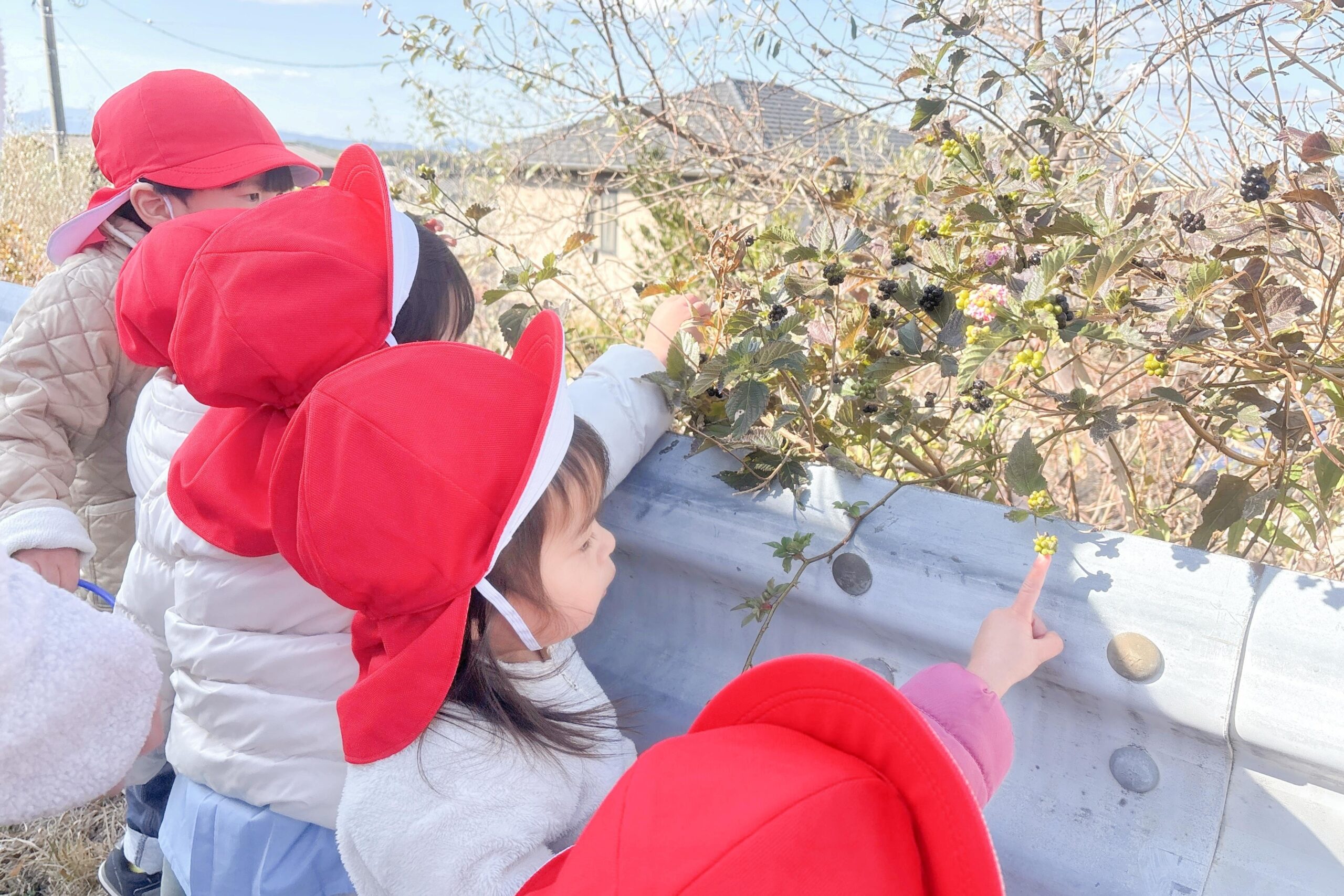  1歳児プレ幼稚園のご案内 イメージ03